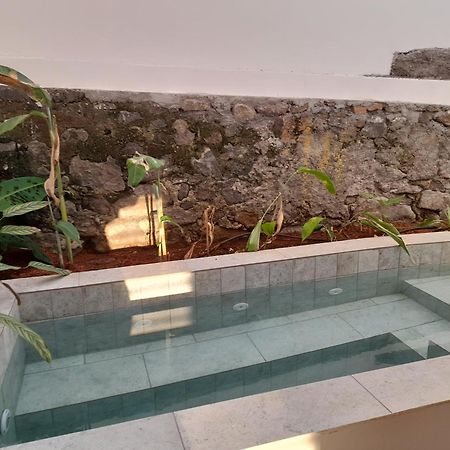 La Kaz Banian Hotel Saint Pierre Luaran gambar