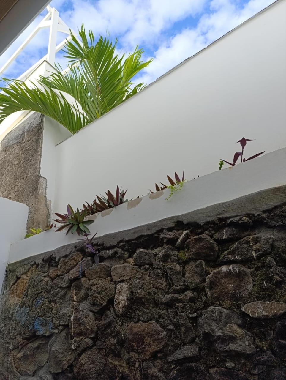 La Kaz Banian Hotel Saint Pierre Luaran gambar